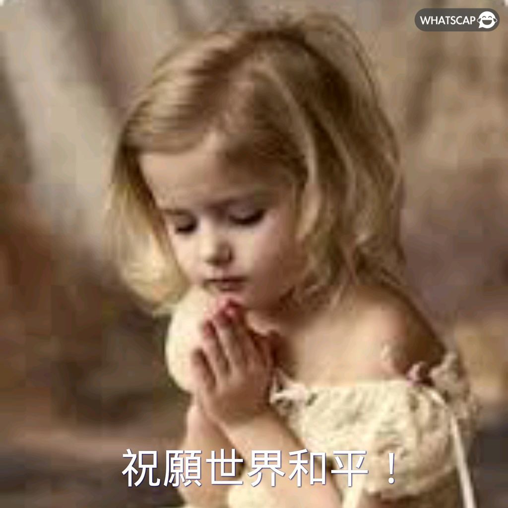 解放者杯期,号分析,专家解读主,完美体育官网,完美体育APP,WMSports,完美体育平台